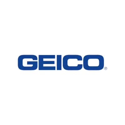Jester - Geico